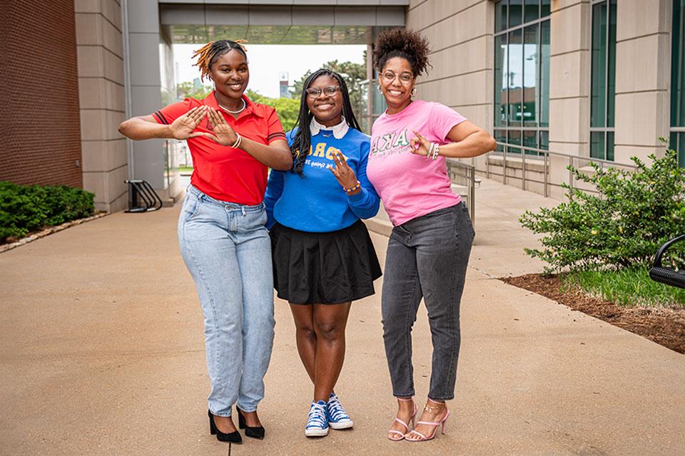 The National Pan-Hellenic Council is home to 4 sororities: Alpha Kappa Alpha Sorority, Inc., Delta Sigma Theta Sorority, Inc., Sigma Gamma Rho Sorority, Inc., and Zeta Phi Beta Sorority, Inc. 